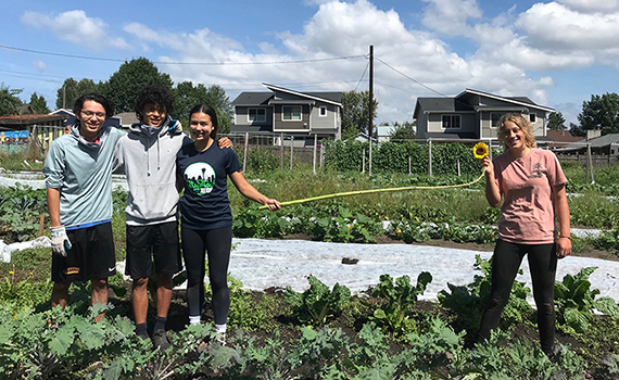 3 siblings and one friend social distance on a farm using a long sunflower to stay safely apart