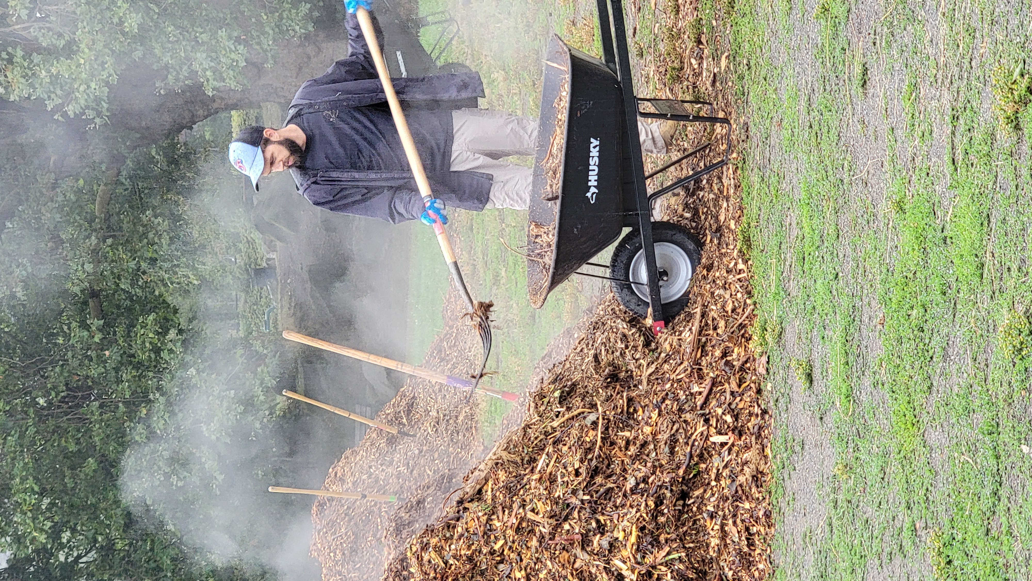 A man shovels mulch from a steaming pile into a wheelbarrow.