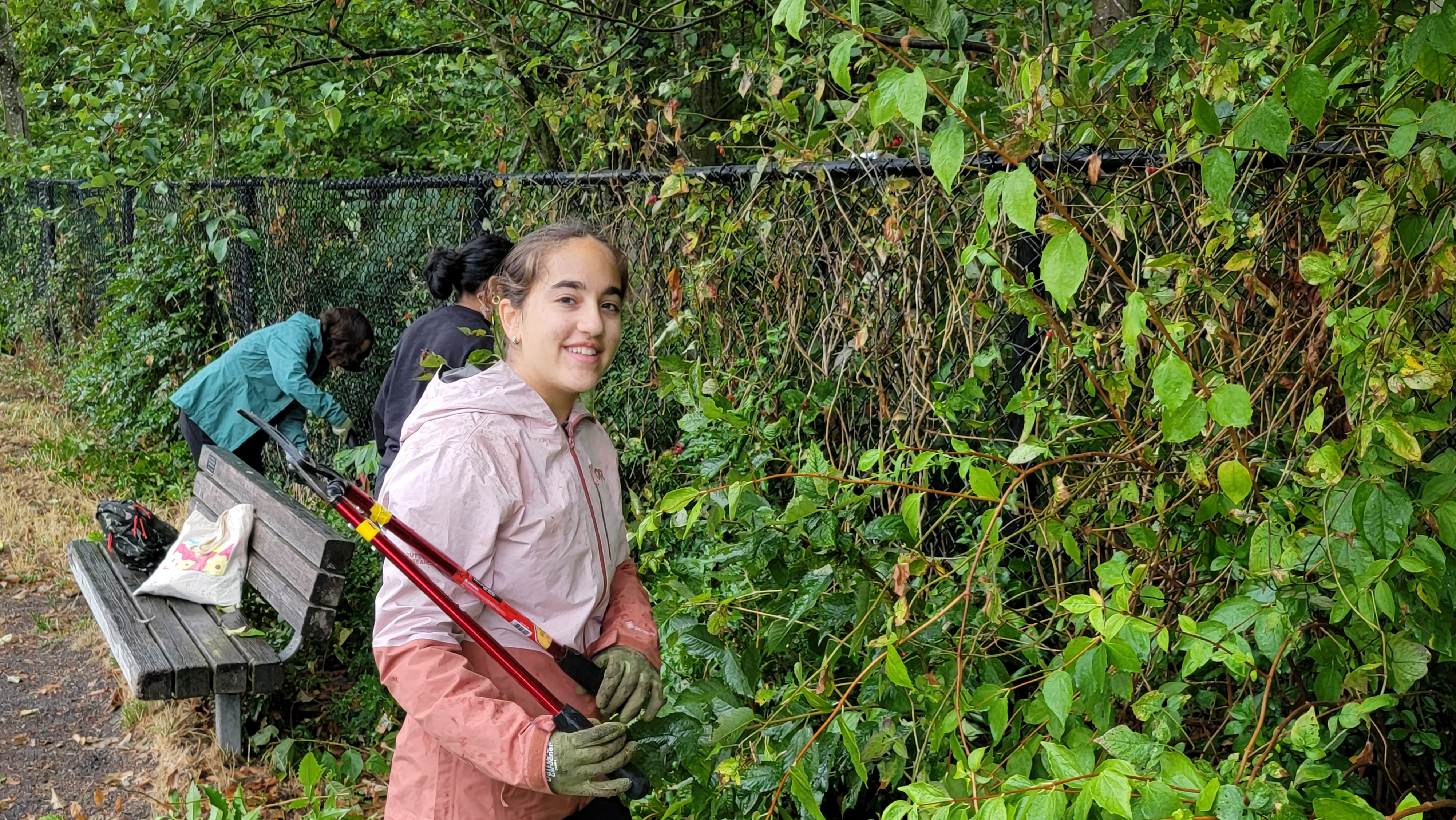 A woman in a pink raincoat with a large park loppers clears weeds off a chain link fence.