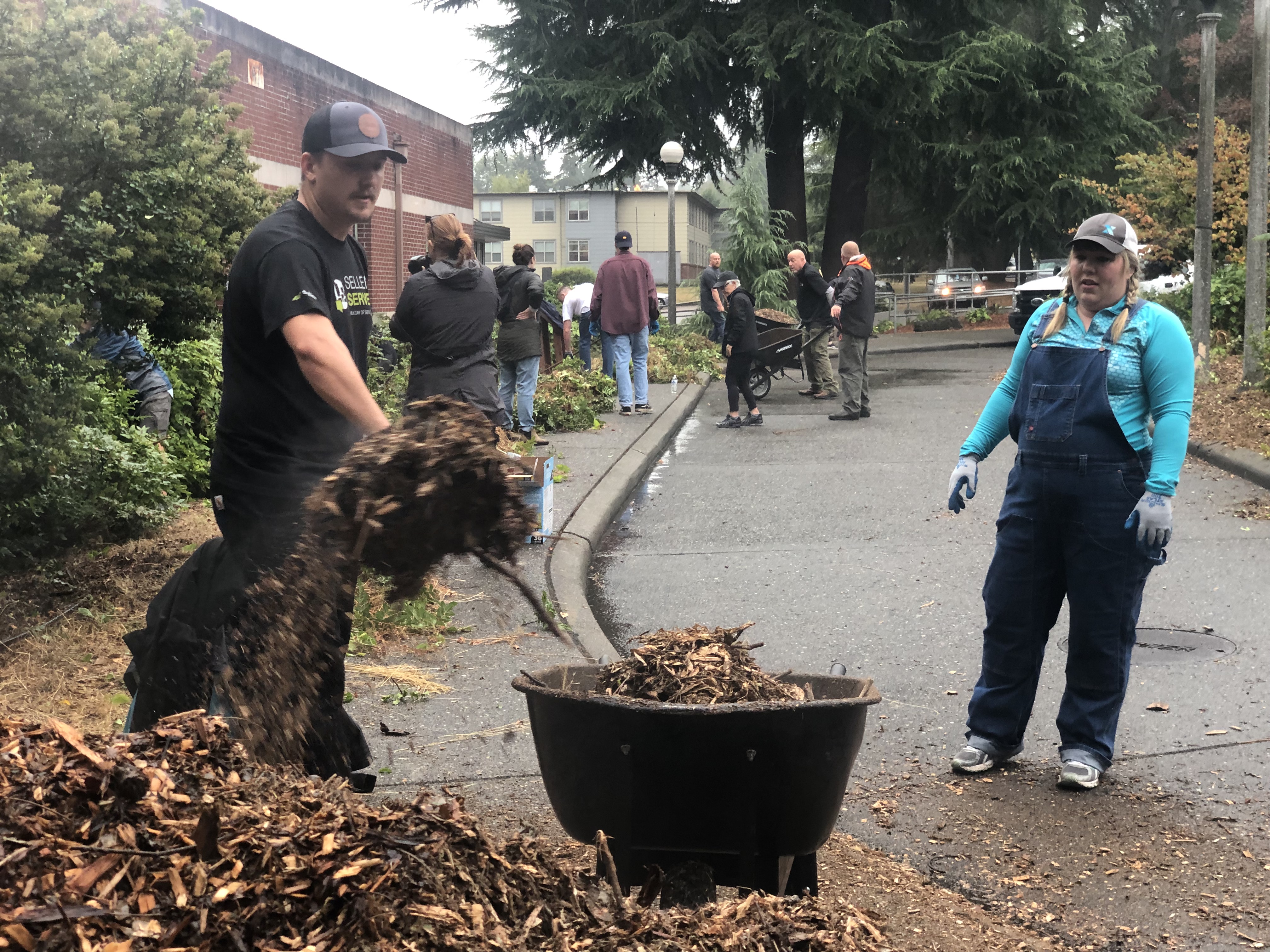 A group of people in work clothes spread mulch with wheelbarrows and pitchforks.
