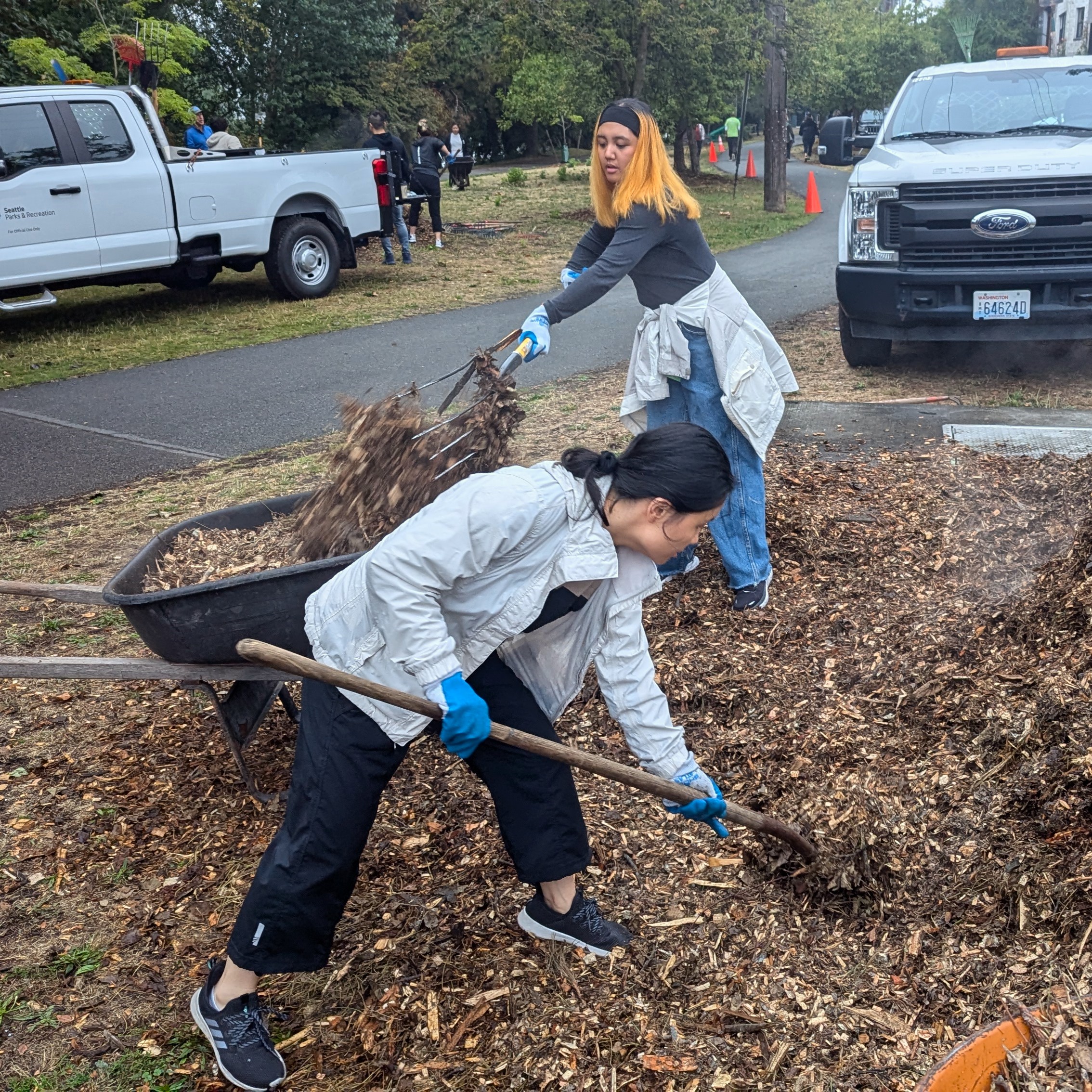 Two people shovel mulch into a wheelbarrow.