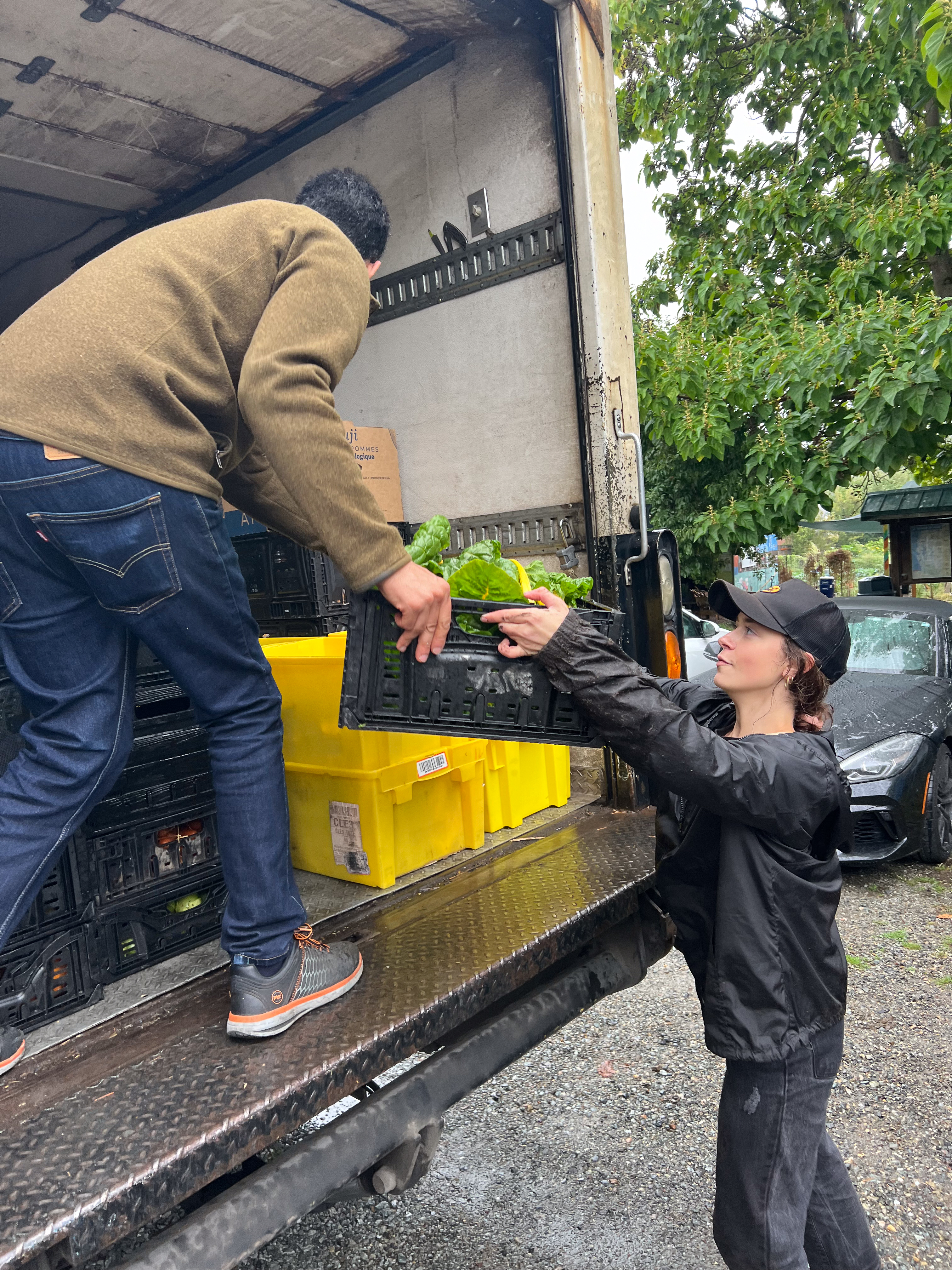 A woman in a black rain coat passes a crate of vegetables to another person standing in the back of a box truck.