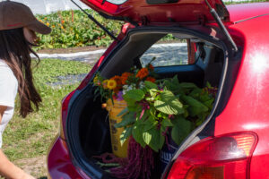 A woman loads flowers in the trunk of a red car.
