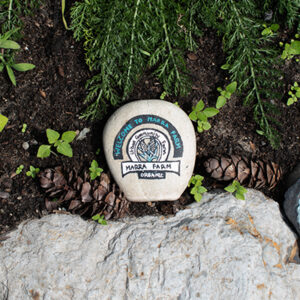 A stone painted with the Marra Farm logo, placed on the ground by a rock and some plants