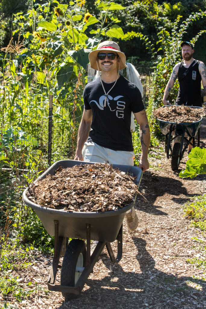 A man with a sun hat, sunglasses, and mustache pushes a wheelbarrow between rows of tall plants.