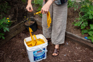 A woman pulls dyed yellow cloths from a bucket full of yellow water.